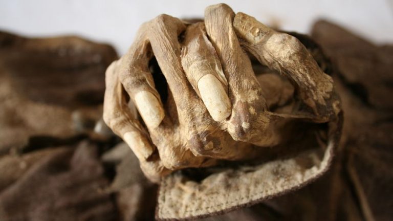 Los museos eliminan la exhibición de restos humanos