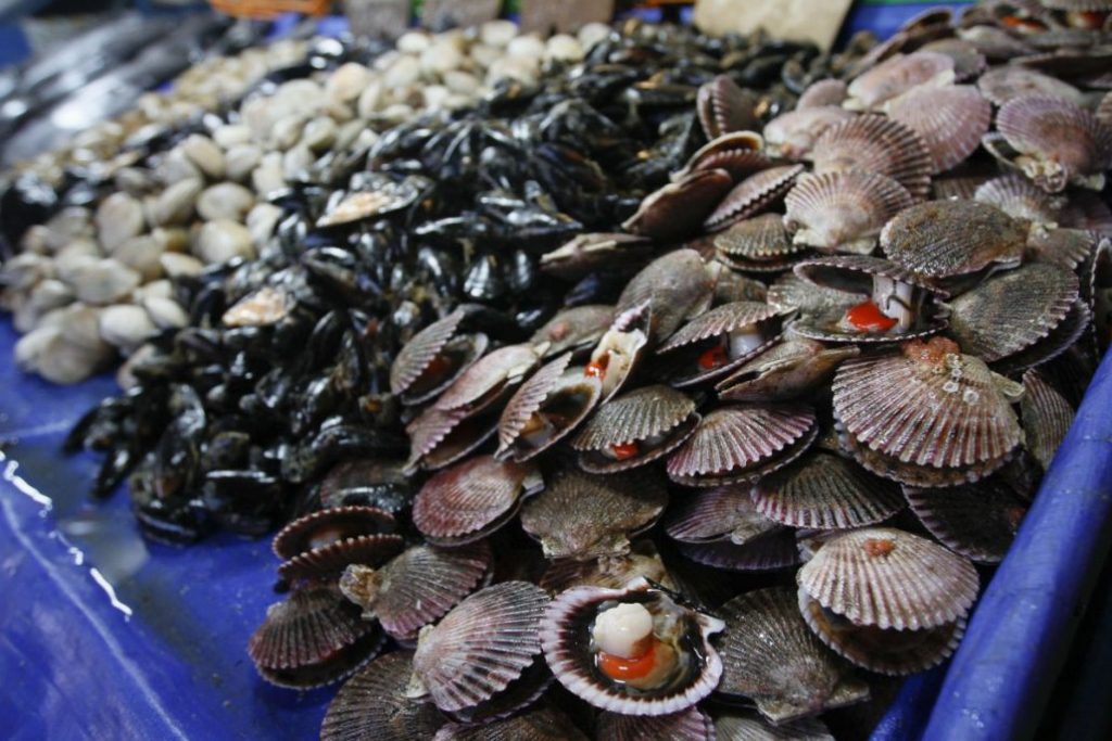 ¿Cuál Es El Marisco Molusco?