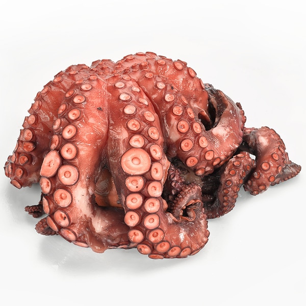 ¿El Pulpo Es Un Marisco?