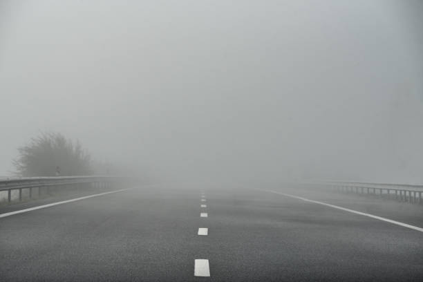 Niebla En La Carretera