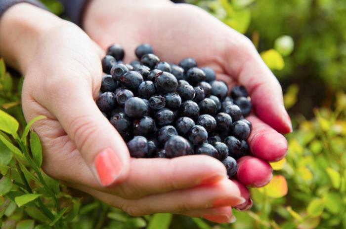 Qué Es El Açai Y Qué Beneficios Obtienes