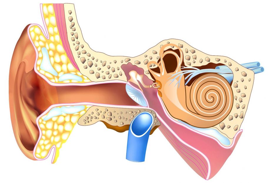¿Qué Es La Presbiacusia?