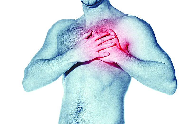 ¿Por Qué Este Exceso De Proteínas No Es Recomendable?