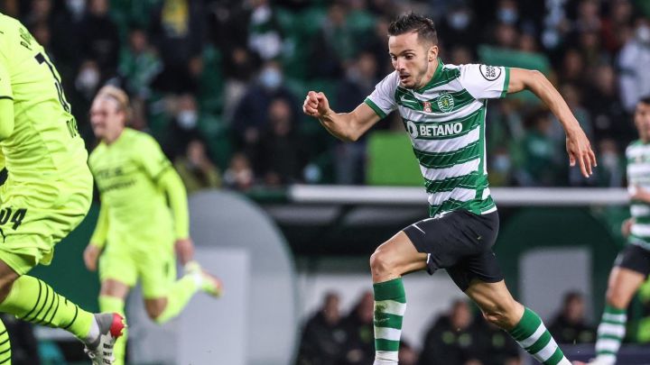 Sarabia 5
