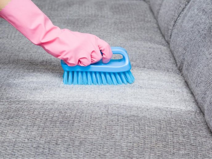 ¿Qué Curiosidad? Hasta Para Eliminar El Olor A Orina De Perro O Gato