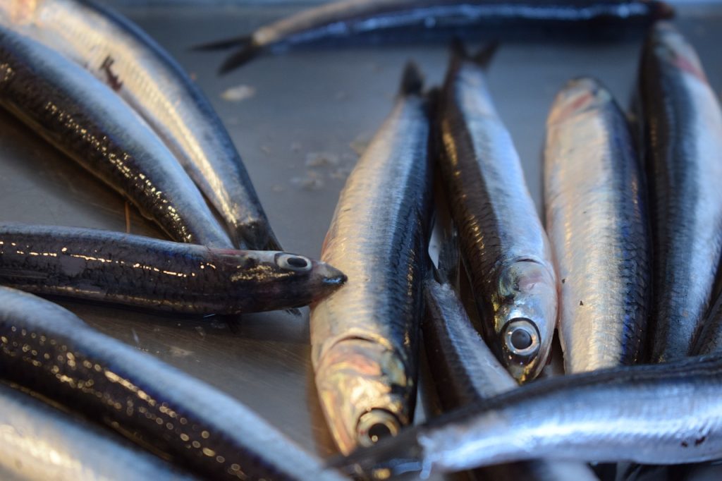 Boquerones