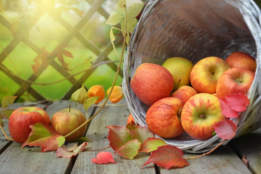 Bizcocho De Manzana: Así Lo Haces En El Microondas En Menos De 10 Minutos