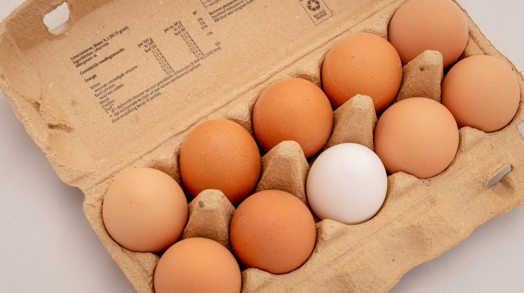 Eggs 3446869 1280