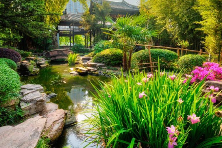 La gran variedad de plantas para estanque de plantasyestanques.es