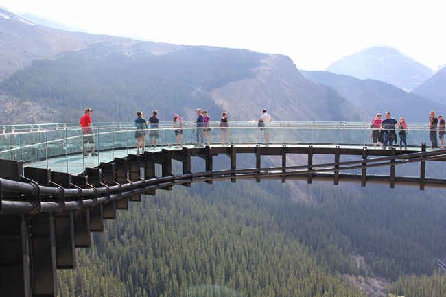 Glacier Skywalk, Uno De Los Puentes De Cristal Más Asombroso De Canadá 