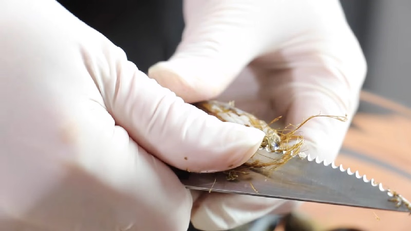 Estas Son Las Personas Que No Deberían Comer Mejillones En Navidad
