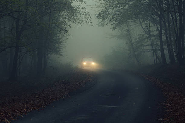 Niebla Coche