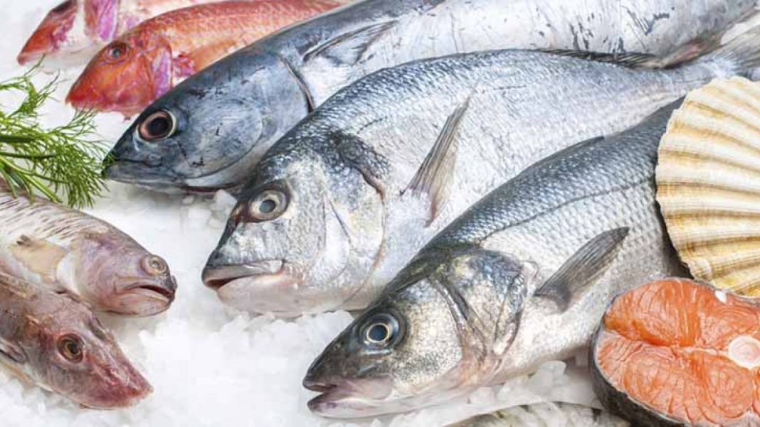 Llenos de mercurio: Ocho pescados que no deberías comer