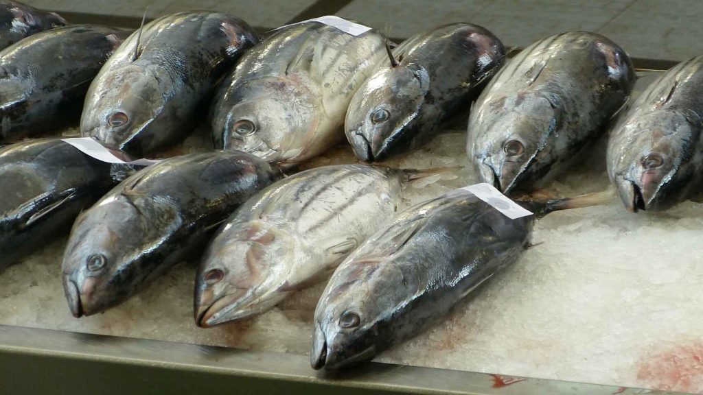 Pescados Que No Deberías Comer