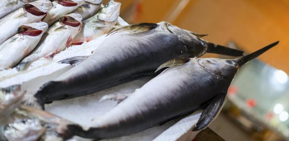 Llenos de mercurio: Ocho pescados que no deberías comer