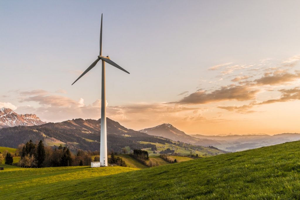 La Fauna Podría Verse En Peligro Energías Renovables