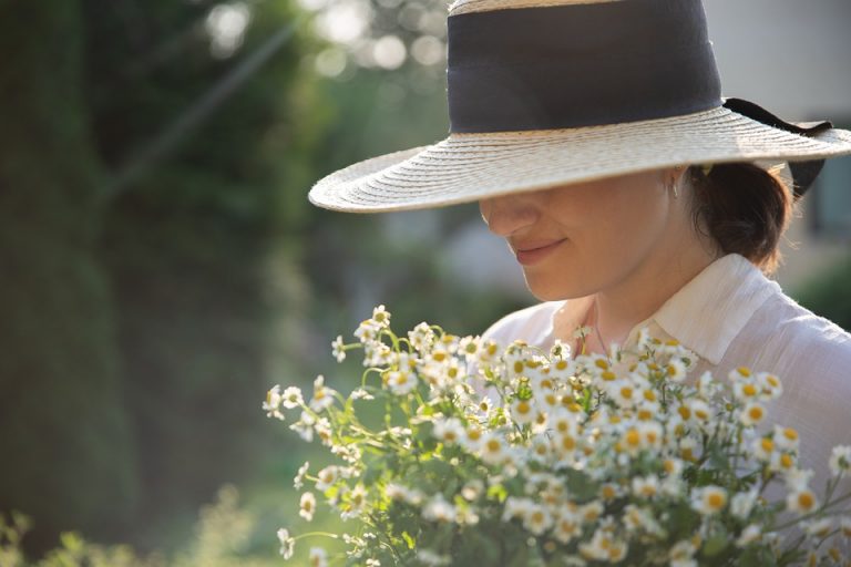 10 plantas de interior que te ayudan a controlar el estrés