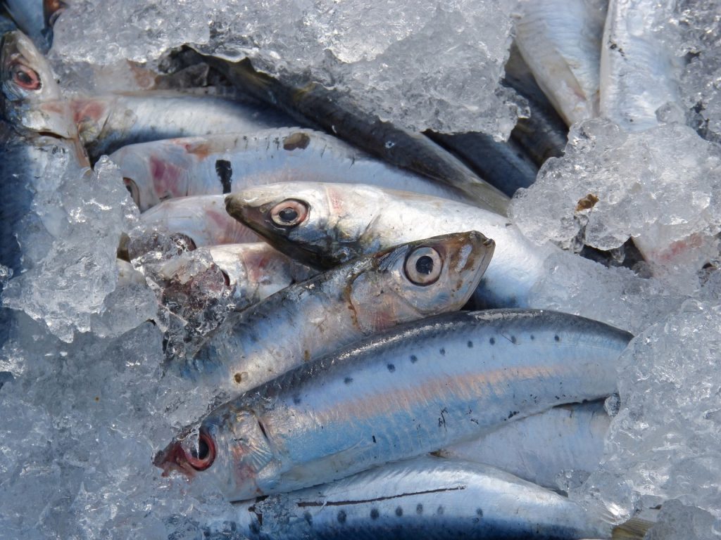 Boquerones En Vinagre: Los Pasos Que Debes Dar Para Hacerlos En Casa En Medio Día