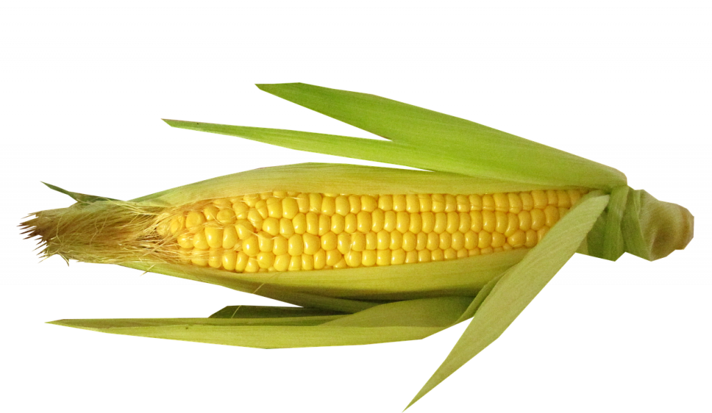 Alimentos Que No Sabías Que Destruyen El Planeta
