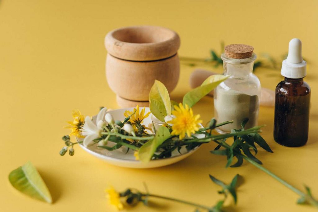 10 Plantas Y Hierbas Que Combaten La Diabetes 2