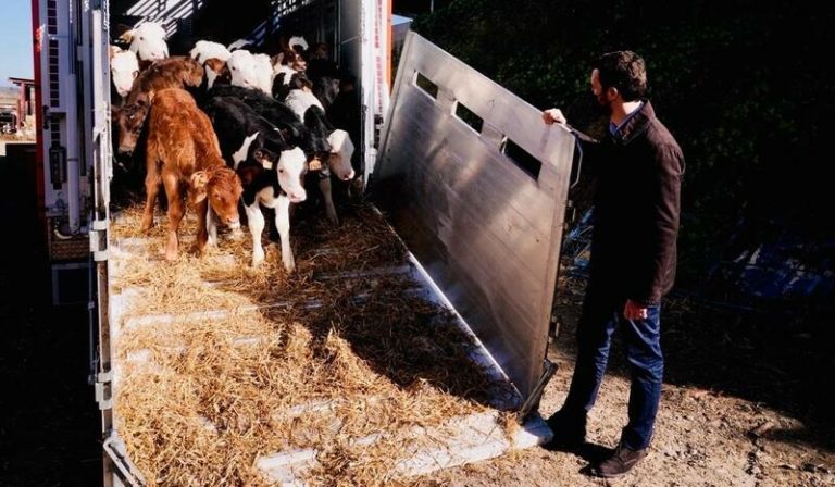 El PP presentará mociones en toda España para exigir el cese inmediato de Garzón