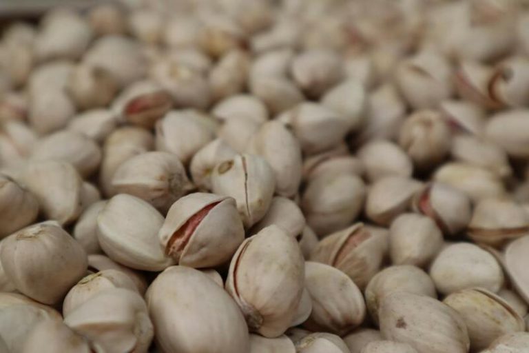 Castilla-La Mancha es líder en cultivo de pistacho en Europa