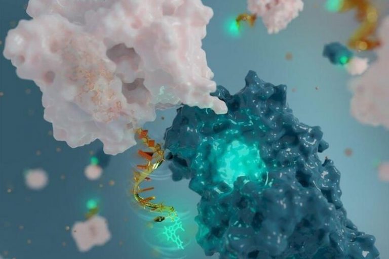 Químicos crean una nanoantena a base de ADN, la más minúscula del mundo