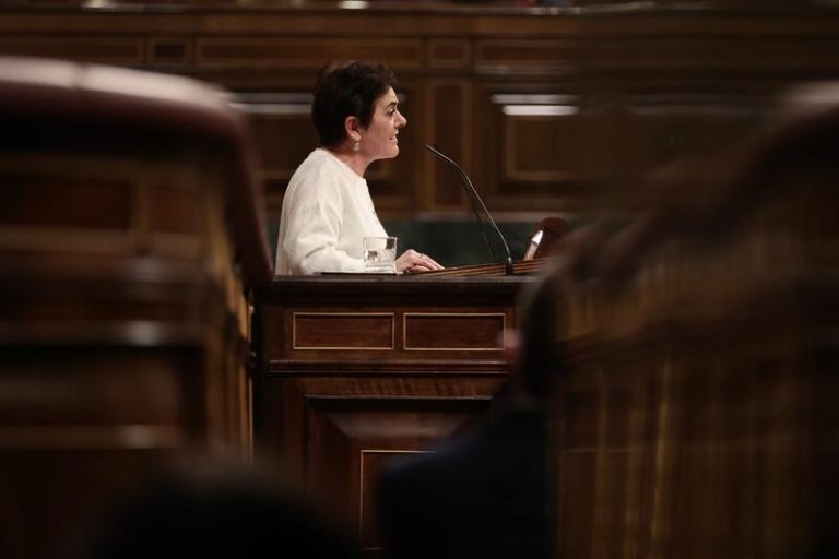 EH Bildu mantiene su no a la reforma laboral si se mantiene como está