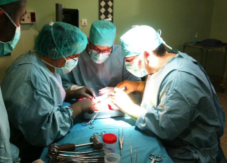España realizó 4.781 trasplantes en 2021, aproximándose a niveles prepandemia