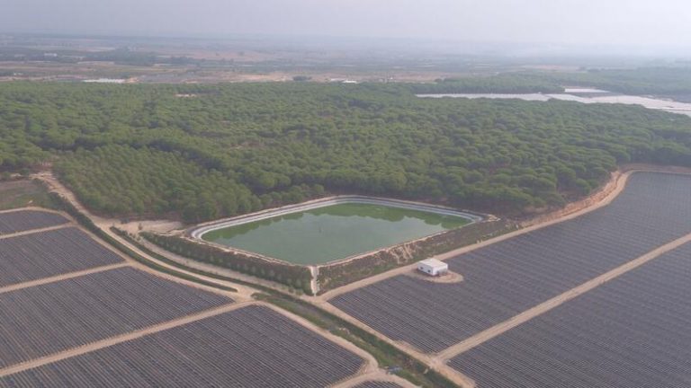 Una decena de entidades se unen en contra de la proposición de ley para los regadíos en Doñana