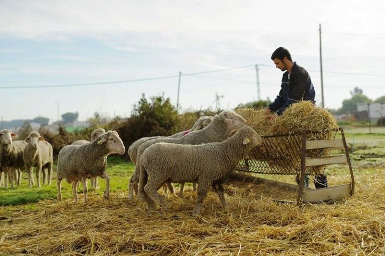 El mundo rural se manifestará hoy en Madrid para denunciar las «amenazas continuas» que sufre el sector