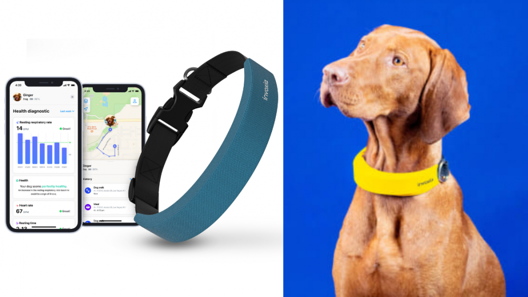 Así es el Apple Watch para tu perro