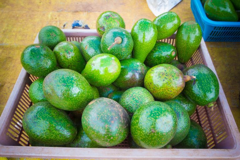 Ayuda en la cocina: con estos 3 sencillos pasos podrás madurar un aguacate en 10 minutos