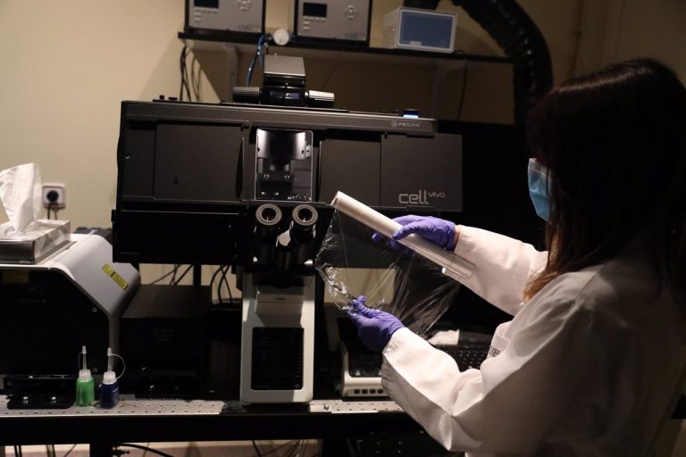Consejo Europeo de Investigación concede 619 millones en becas de investigación