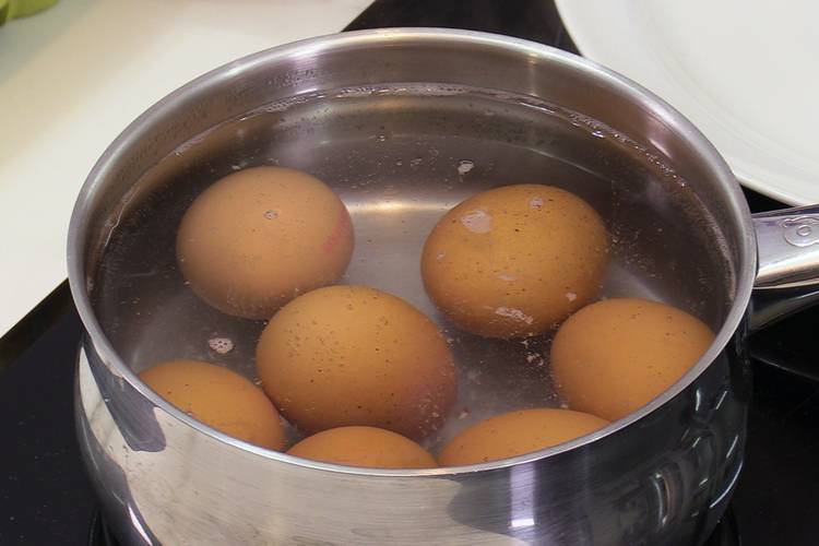 ¿Cómo es el agua de huevo hervida beneficiosa para las plantas? Explicado