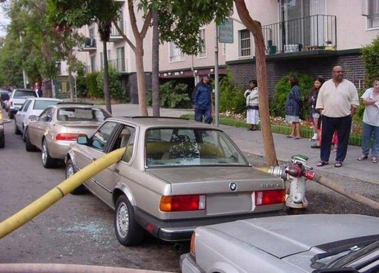 Si dudas del karma estas 10 fotos te cambiaran de idea