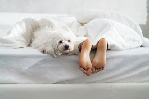 ¿sacar un pie cuándo duermes es habitual?