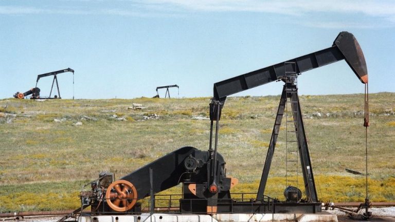 La OPEP espera que la demanda de petróleo supere los 100 millones de barriles diarios en 2022