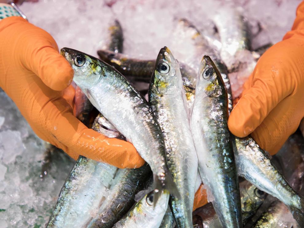 Los Ingredientes Que Necesitas Para Hacer Las Sardinas Al Horno