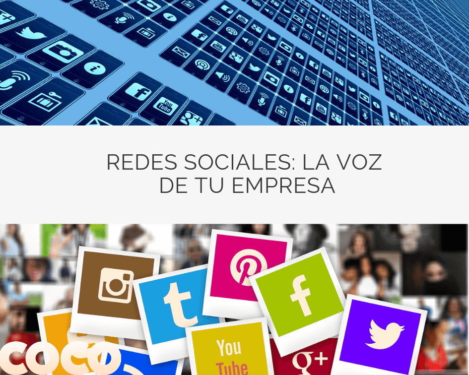 ¿Qué Son Las Redes Sociales Verticales?