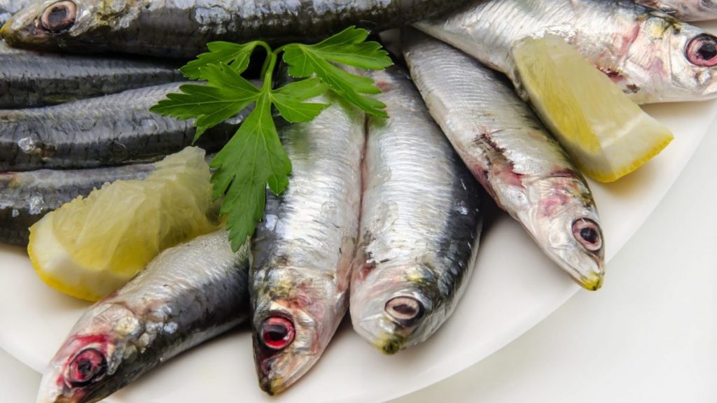 Cómo hacer unas sardinas al horno con un sabor espectacular 77 Muchas formas para un mismo Ingrediente
