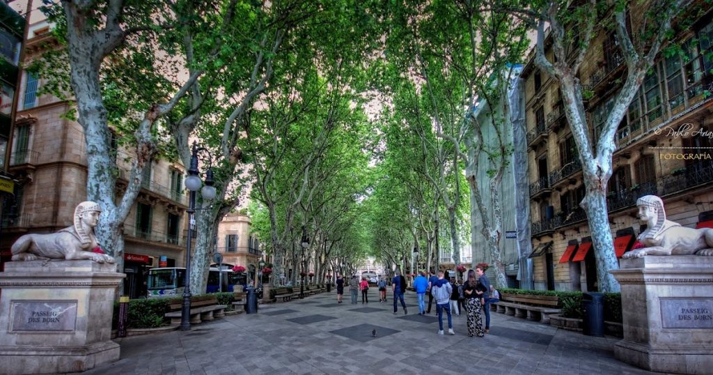 Paseo del Borne, Palma