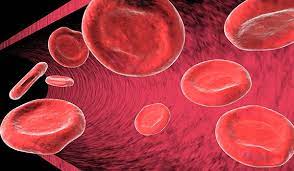 ¿Cuáles son las opciones de tratamiento de la anemia megaloblástica?