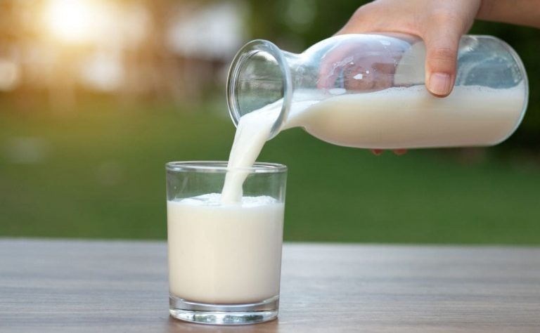 Todos estos alimentos tienen más calcio que la leche