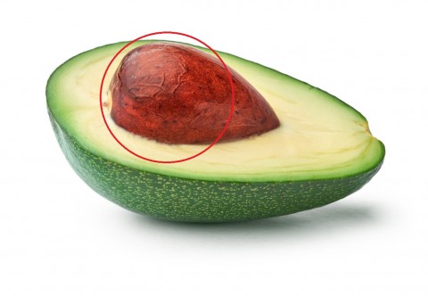 ¿De Dónde Se Origina El Término Aguacate?