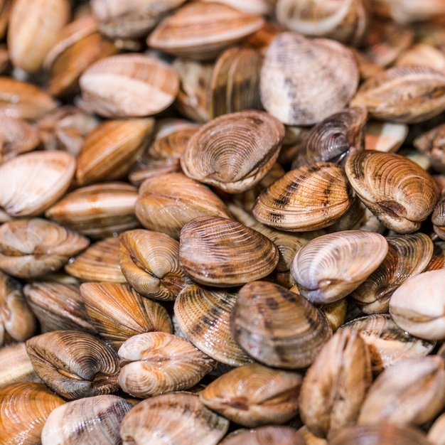 Almejas Rellenas: El Entrante De Berasategui “Con Mucho Sabor A Mar”