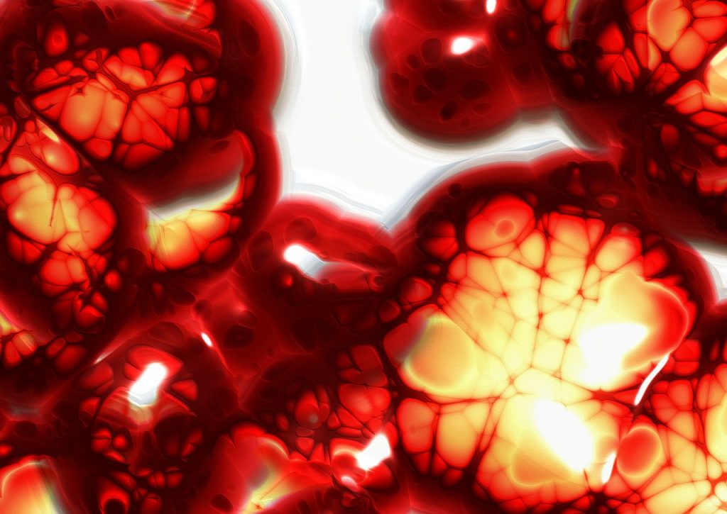 Anemia: los riesgos que provoca no tener suficiente hierro 