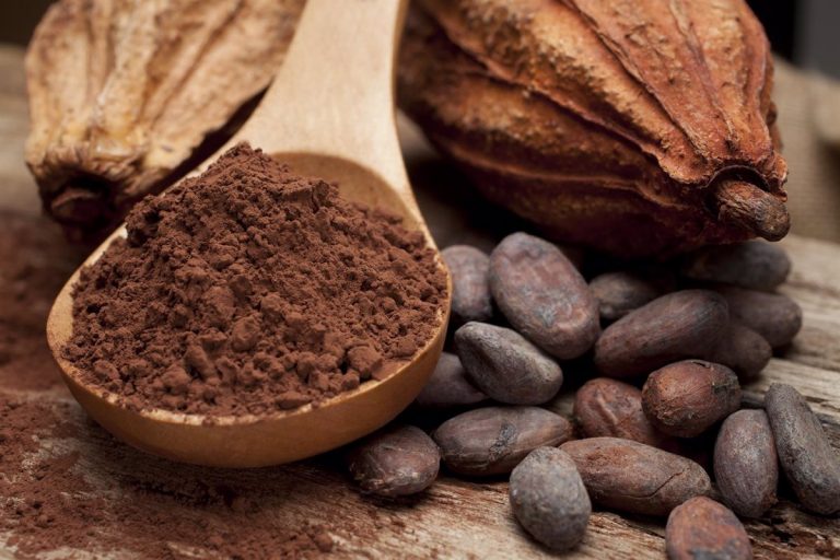 El Gobierno prepara un reglamento para garantizar que café, soja o madera importados no provocan deforestación tropical