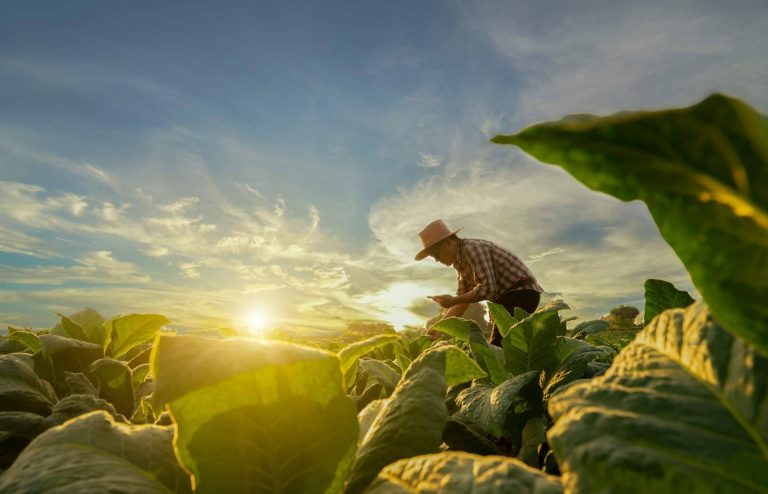 Agbar, la compañía especializada en cultivos que fomenta la agricultura sostenible