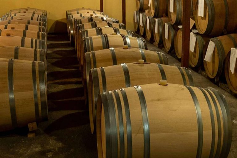 La maravillosa experiencia de disfrutar de vinos ecológicos de la mano de 3.10 Celler